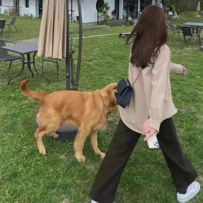 鬼入境